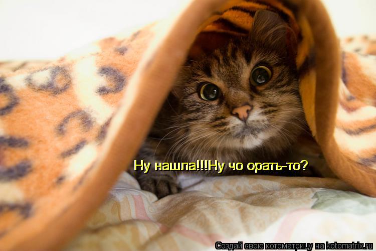 Котоматрица: Ну нашла!!!Ну чо орать-то? Ну нашла!!!Ну чо орать-то?