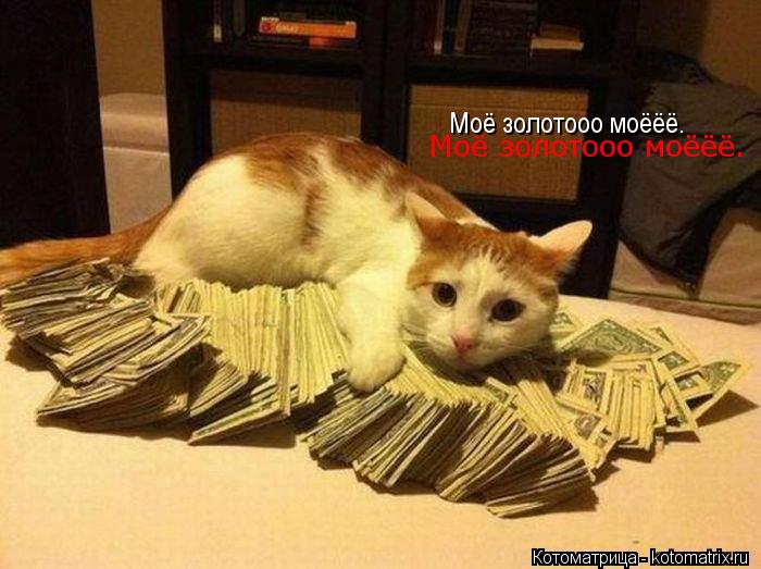 Котоматрица: Моё золотооо моёёё. Моё золотооо моёёё.