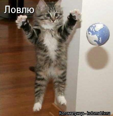 Ловлю... Котоматрица: Ловлю