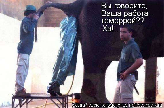 Вы говорите, Ваша работа - геморрой?? Ха!..... Котоматрица: Вы говорите, Ваша работа - геморрой?? Ха!..