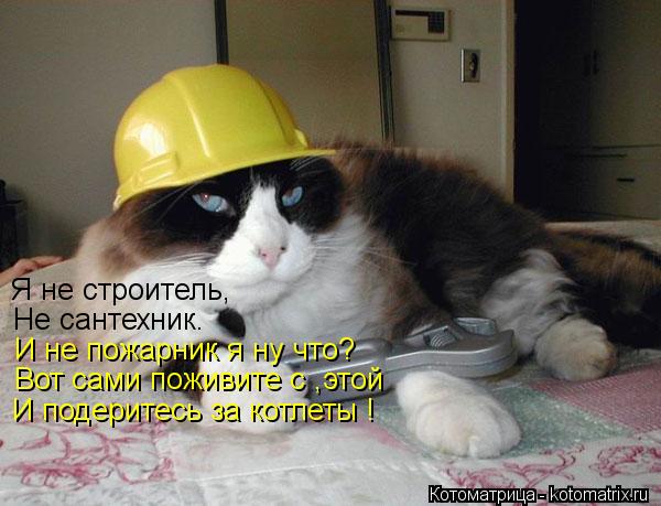 Я не строитель, Не сантехник. И не пожарник я ну что? Вот сами поживите с ,этой И подеритесь за котле... Котоматрица: Я не строитель, Не сантехник. И не пожарник я ну что? Вот сами поживите с ,этой И подеритесь за котлеты !