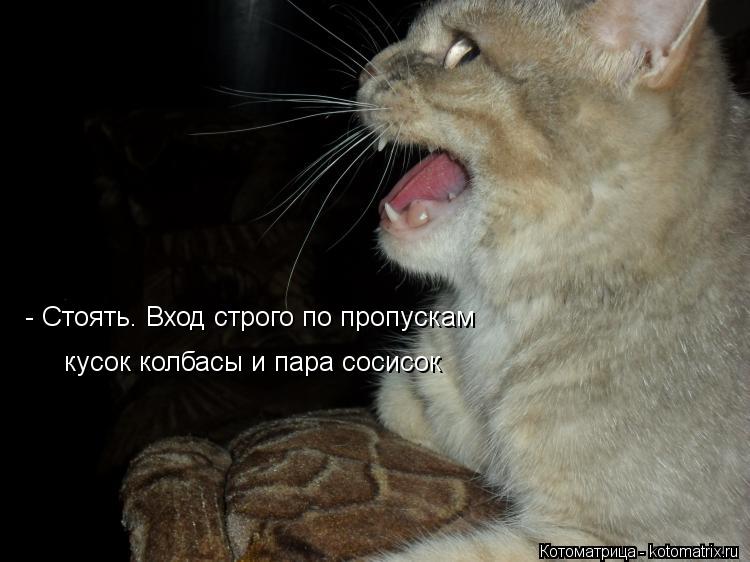 Котоматрица: - Стоять. Вход строго по пропускам кусок колбасы и пара сосисок