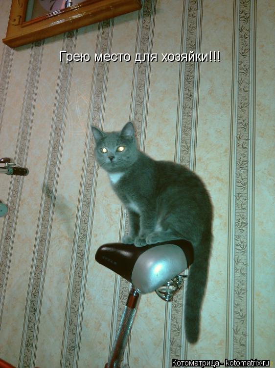 Котоматрица: Грею место для хозяйки!!!
