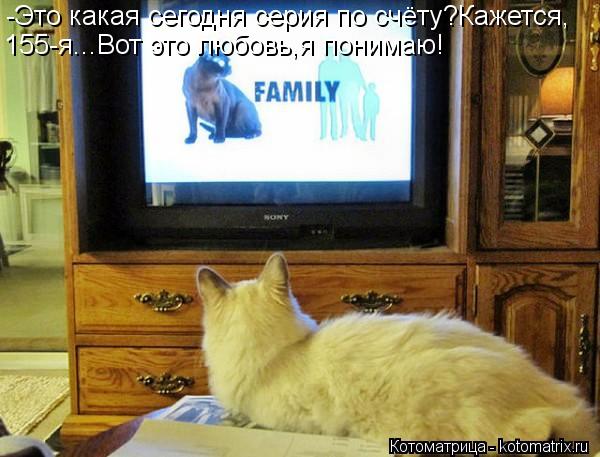 Котоматрица: -Это какая сегодня серия по счёту?Кажется, 155-я...Вот это любовь,я понимаю!