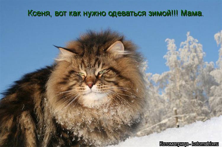 Ксеня, вот как нужно одеваться зимой!!! Мама. Ксеня, вот как нужно одеваться зимой!!! Мама.... Котоматрица: Ксеня, вот как нужно одеваться зимой!!! Мама. Ксеня, вот как нужно одеваться зимой!!! Мама.
