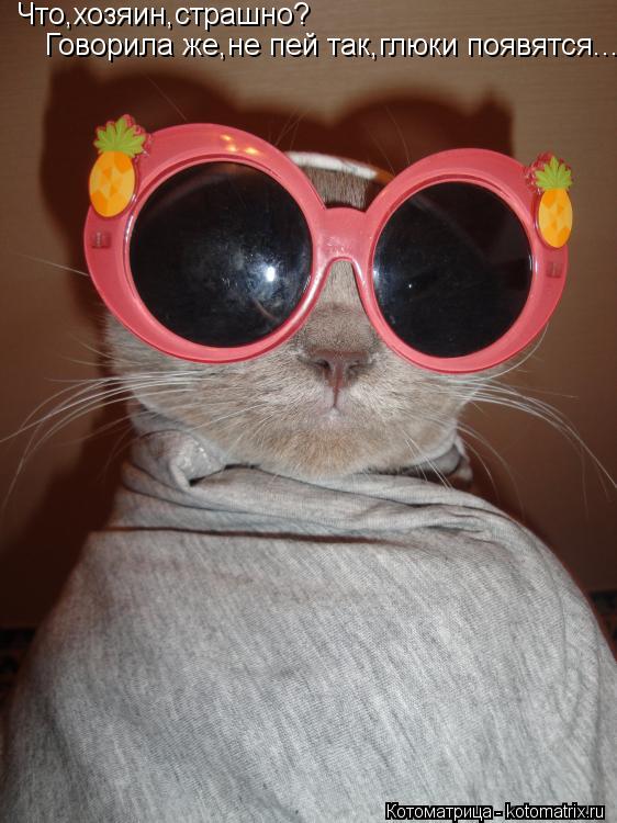 Что,хозяин,страшно? Говорила же,не пей так,глюки появятся...... Котоматрица: Что,хозяин,страшно? Говорила же,не пей так,глюки появятся...