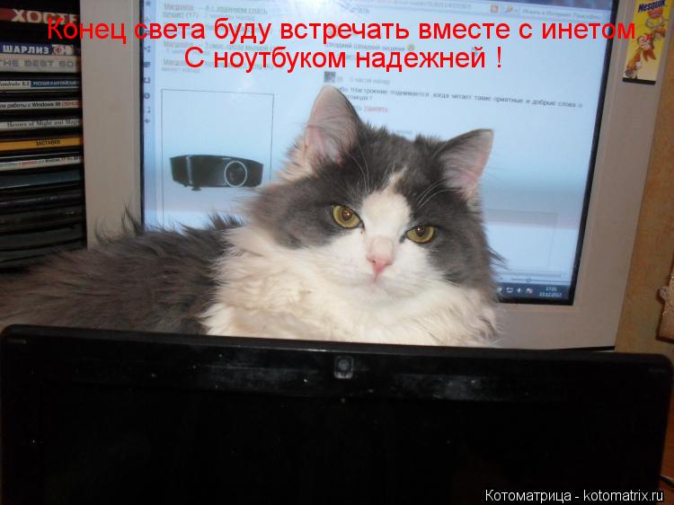Конец света буду встречать вместе с инетом . С ноутбуком надежней !... Котоматрица: Конец света буду встречать вместе с инетом . С ноутбуком надежней !