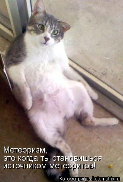 Метеоризм, это когда ты становишься источником метеоритов!... Котоматрица: Метеоризм, это когда ты становишься источником метеоритов!