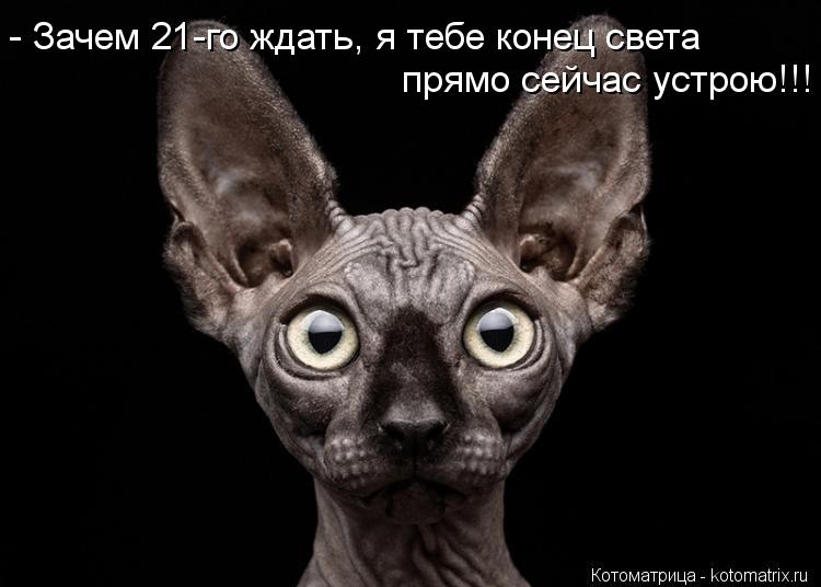 Котоматрица: - Зачем 21-го ждать, я тебе конец света прямо сейчас устрою!!!