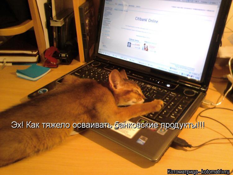 Котоматрица: Эх! Как тяжело осваивать банковские продукты!!!