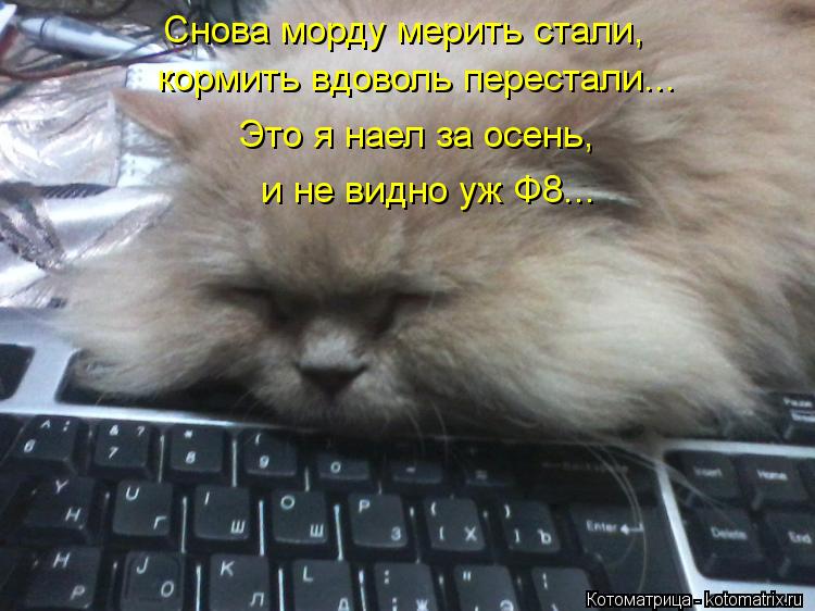 Котоматрица: Снова морду мерить стали,  кормить вдоволь перестали... Это я наел за осень, и не видно уж Ф8...