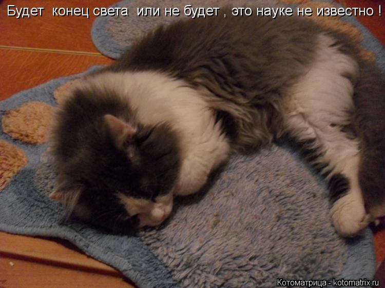 Будет конец света или не будет , это науке не известно !... Котоматрица: Будет конец света или не будет , это науке не известно !