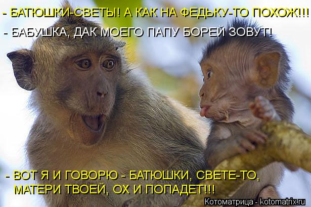- БАТЮШКИ-СВЕТЫ! А КАК НА ФЕДЬКУ-ТО ПОХОЖ!!! - БАБУШКА, ДАК МОЕГО ПАПУ БОРЕЙ ЗОВУТ! МАТЕРИ ТВОЕЙ, ОХ ... Котоматрица: - БАТЮШКИ-СВЕТЫ! А КАК НА ФЕДЬКУ-ТО ПОХОЖ!!! - БАБУШКА, ДАК МОЕГО ПАПУ БОРЕЙ ЗОВУТ! МАТЕРИ ТВОЕЙ, ОХ И ПОПАДЕТ!!! - ВОТ Я И ГОВОРЮ - БАТЮШКИ, СВЕТЕ-Т