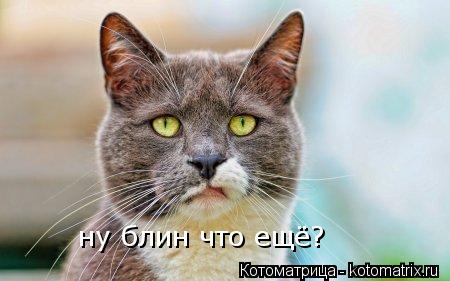 ну блин что ещё?... Котоматрица: ну блин что ещё?