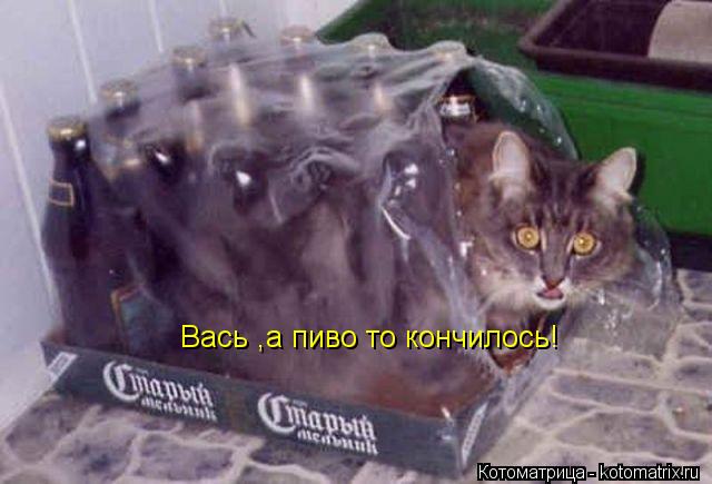 Вась ,а пиво то кончилось!... Котоматрица: Вась ,а пиво то кончилось!