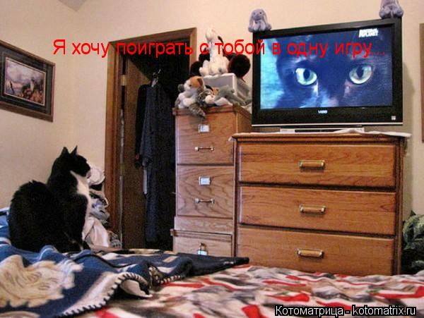 Котоматрица: Я хочу поиграть с тобой в одну игру... Я хочу поиграть с тобой в одну игру...