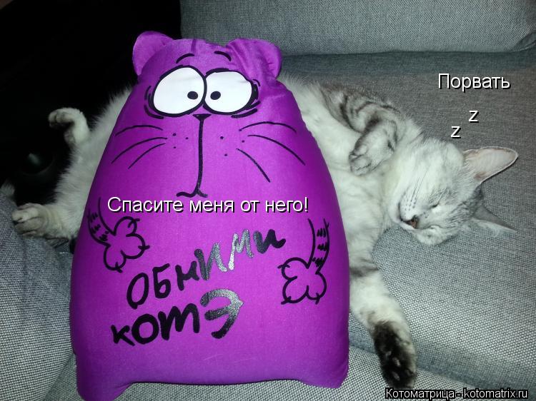 Спа Спасите меня от него! Порвать z z... Котоматрица: Спа Спасите меня от него! Порвать z z