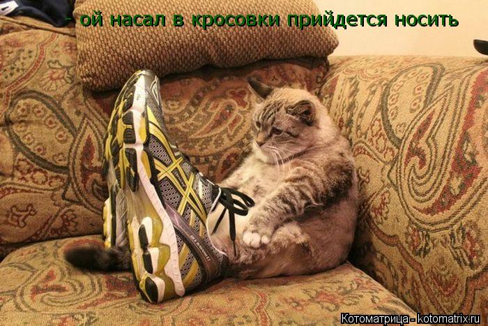 Котоматрица: - ой насал в кросовки прийдется носить