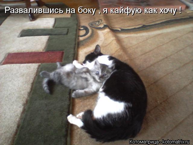 Котоматрица: Развалившись на боку , я кайфую как хочу !