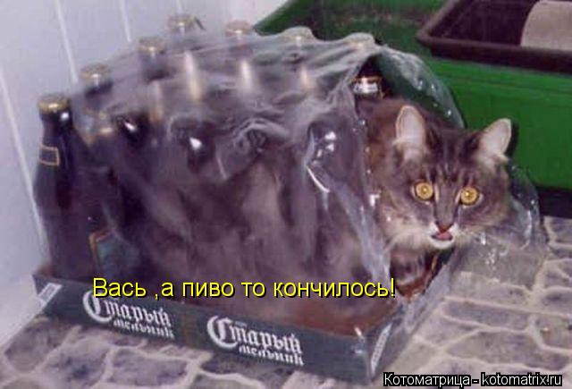 Вась ,а пиво то кончилось!... Котоматрица: Вась ,а пиво то кончилось!