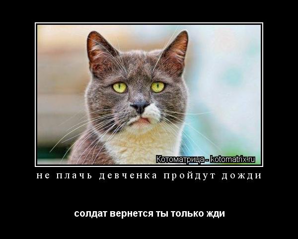 Котоматрица: не плачь девченка пройдут дожди солдат вернется ты только жди