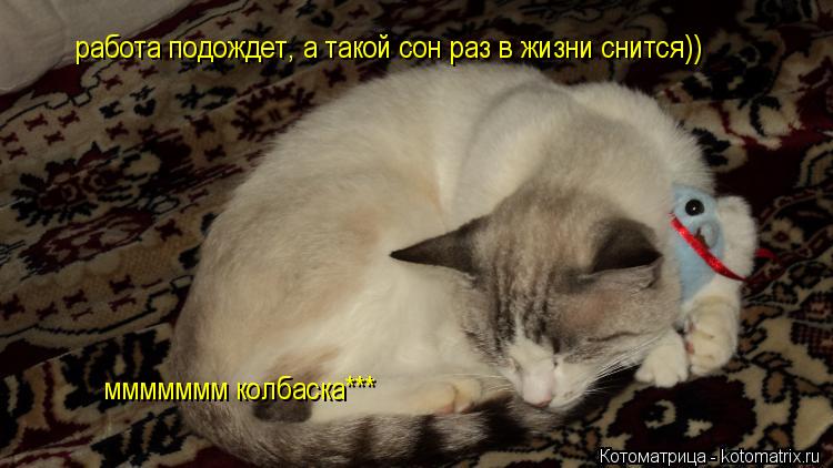Котоматрица: работа подождет, а такой сон раз в жизни снится)) ммммммм колбаска***