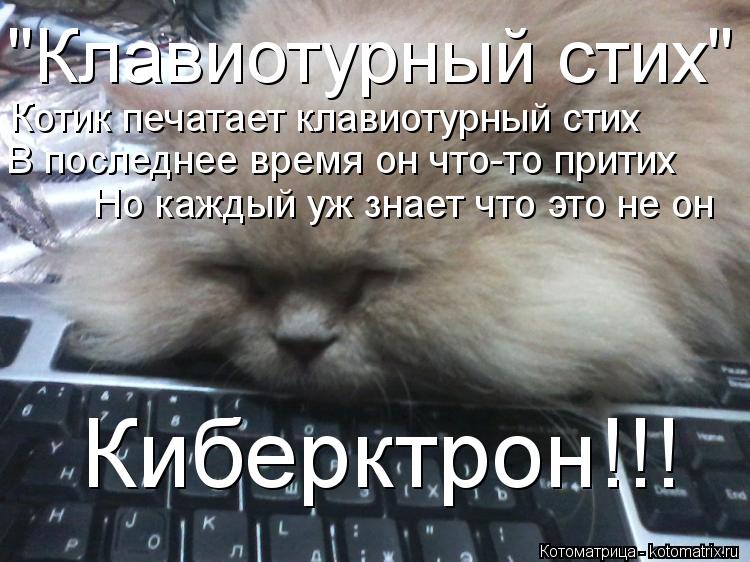 Котоматрица: "Клавиотурный стих" Котик печатает клавиотурный стих В последнее время он что-то притих Но каждый уж знает что это не он Киберктрон!!!