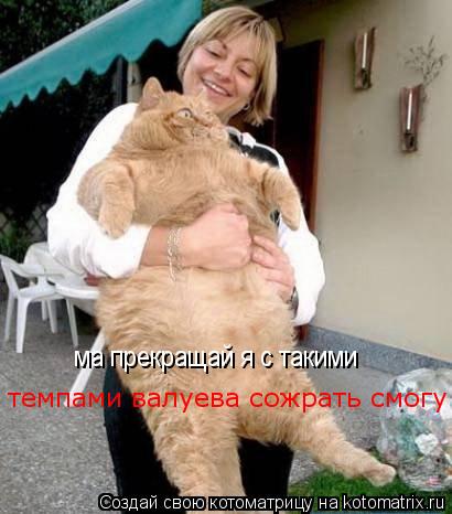 Котоматрица: ма прекращай я с такими темпами валуева сожрать смогу