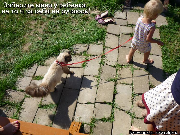 Котоматрица: Заберите меня у ребенка, не то я за себя не ручаюсь!