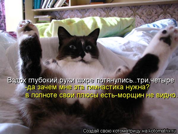 Котоматрица: Вздох глубокий,руки шире потянулись..три,четыре -да зачем мне эта гимнастика нужна? в полноте свои плюсы есть-морщин не видно.