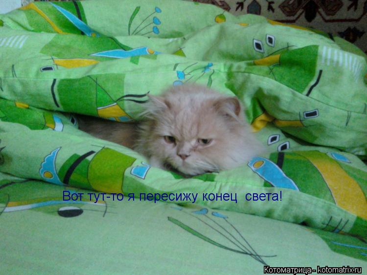 Котоматрица: Вот тут-то я пересижу конец  света!