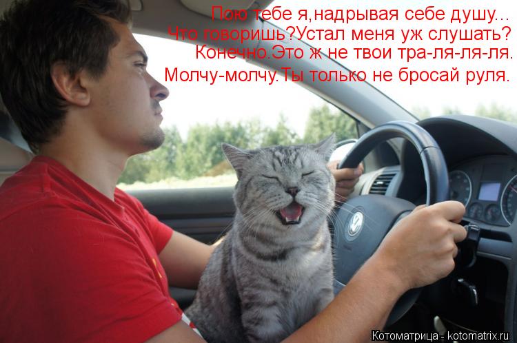 Котоматрица: Пою тебе я,надрывая себе душу... Что говоришь?Устал меня уж слушать? Конечно.Это ж не твои тра-ля-ля-ля. Молчу-молчу.Ты только не бросай руля.