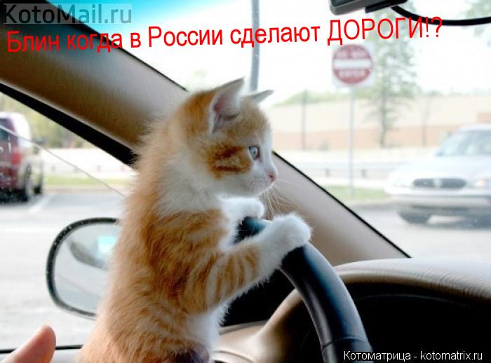 Котоматрица: Блин когда в России сделают ДОРОГИ!? Блин когда в России сделают ДОРОГИ!? Блин когда в России сделают ДОРОГИ!?