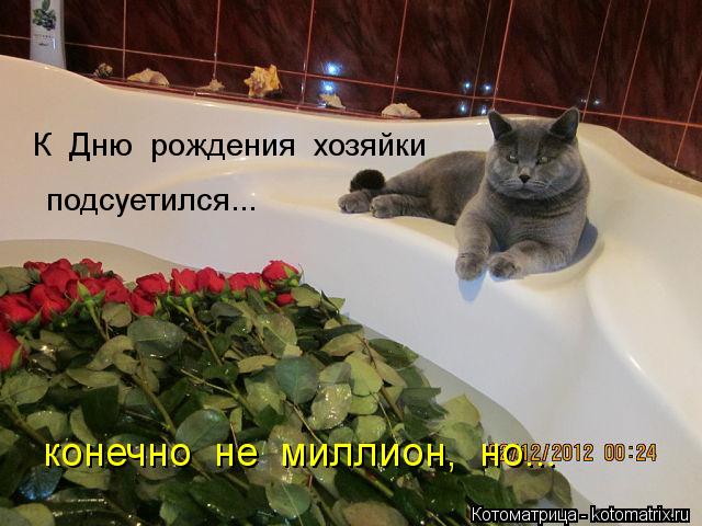 Котоматрица: К  Дню  рождения  хозяйки подсуетился... конечно  не  миллион,  но...