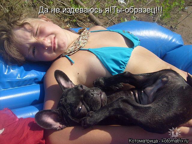 Котоматрица: Да не издеваюсь я!Ты-образец!!!