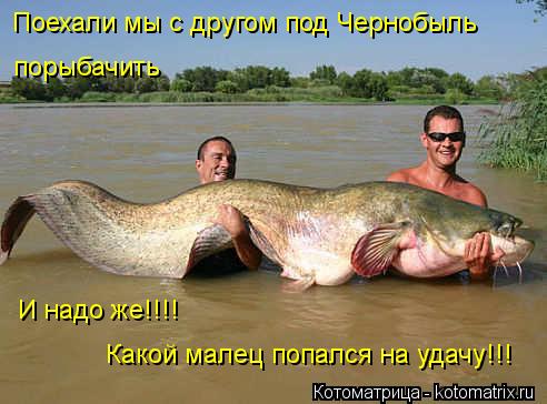 Котоматрица: Поехали мы с другом под Чернобыль  порыбачить И надо же!!!! Какой малец попался на удачу!!!