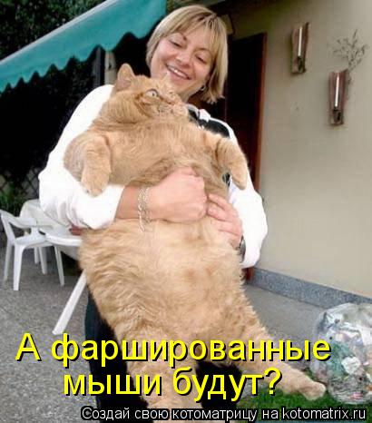 Котоматрица: А фаршированные мыши будут?