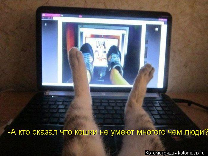 Котоматрица: -А кто сказал что кошки не умеют многого чем люди?