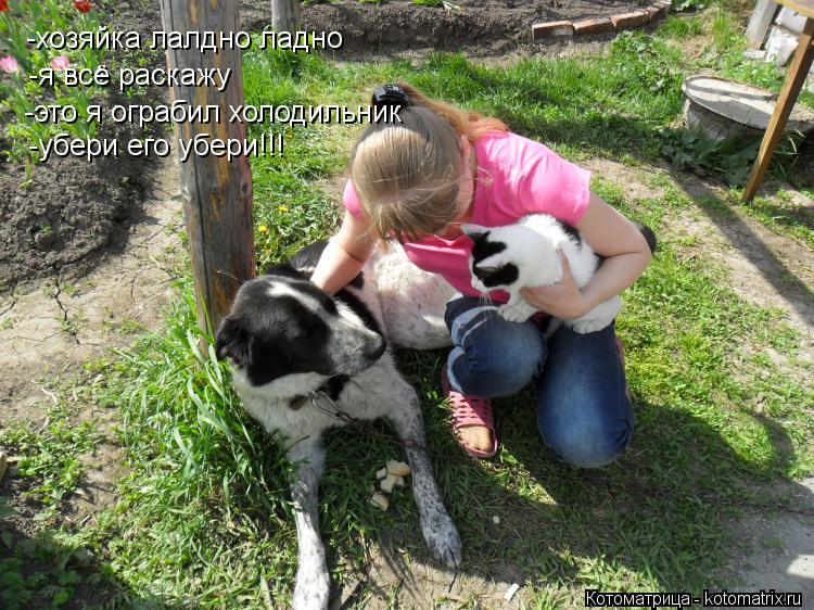 Котоматрица: -хозяйка лалдно ладно -я всё раскажу -это я ограбил холодильник -убери его убери!!!
