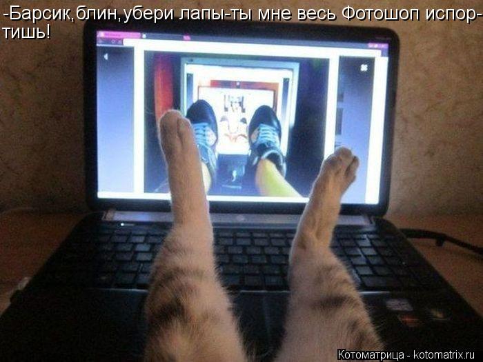 Котоматрица: -Барсик,блин,убери лапы-ты мне весь Фотошоп испор- тишь!