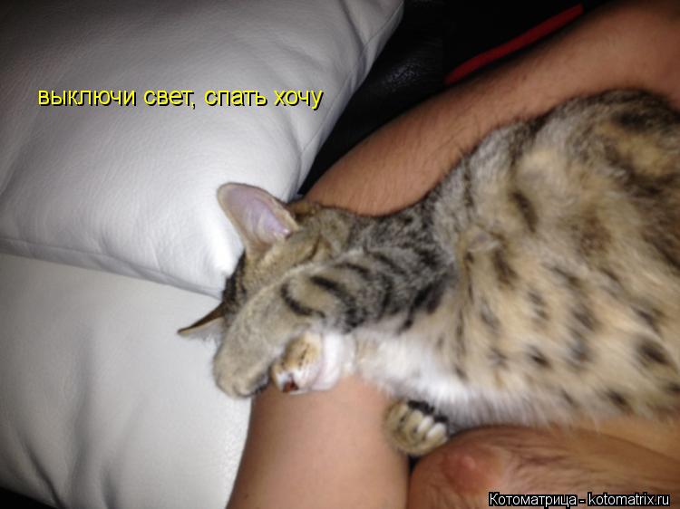Котоматрица: выключи свет, спать хочу