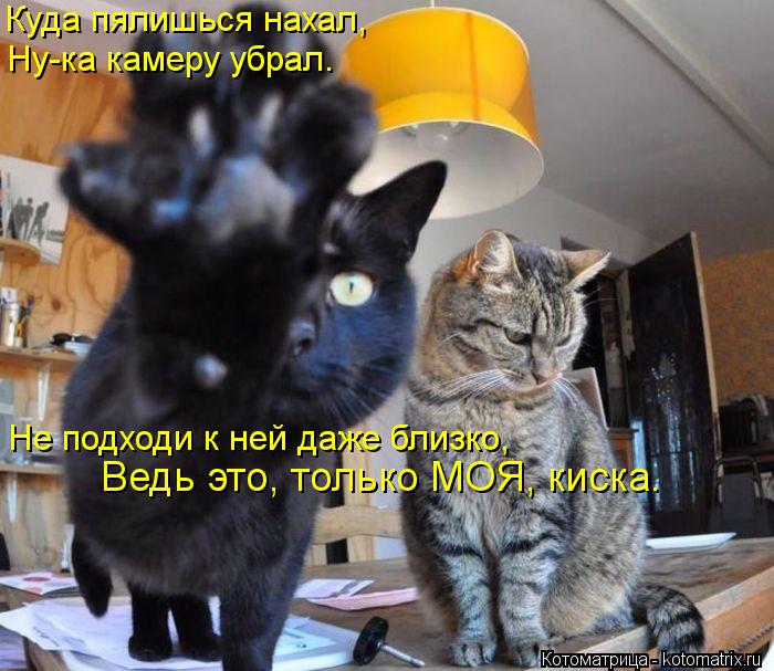 Котоматрица: Куда пялишься нахал, Ну-ка камеру убрал. Не подходи к ней даже близко, Ведь это, только МОЯ, киска.