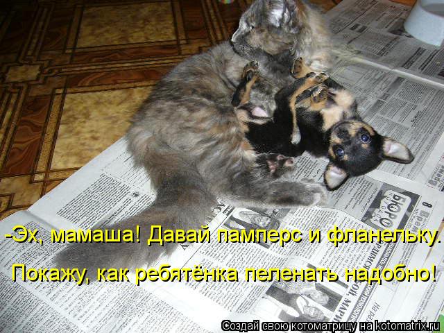 Котоматрица: -Эх, мамаша! Давай памперс и фланельку. Покажу, как ребятёнка пеленать надобно!