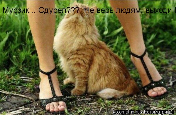 Котоматрица: Мурзик... Сдурел???  Не верь людям, выходи!!!!