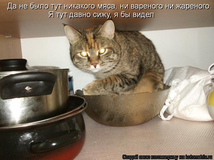 Да не было тут никакого мяса, ни вареного ни жареного. Я тут давно сижу, я бы видел... Котоматрица: Да не было тут никакого мяса, ни вареного ни жареного. Я тут давно сижу, я бы видел