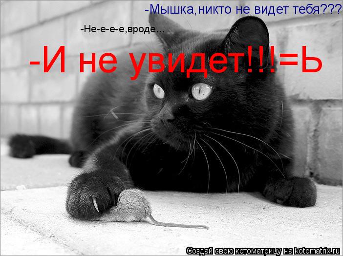 Котоматрица: -Мышка,никто не видет тебя??? -Не-е-е-е,вроде... -И не увидет!!!=Ь