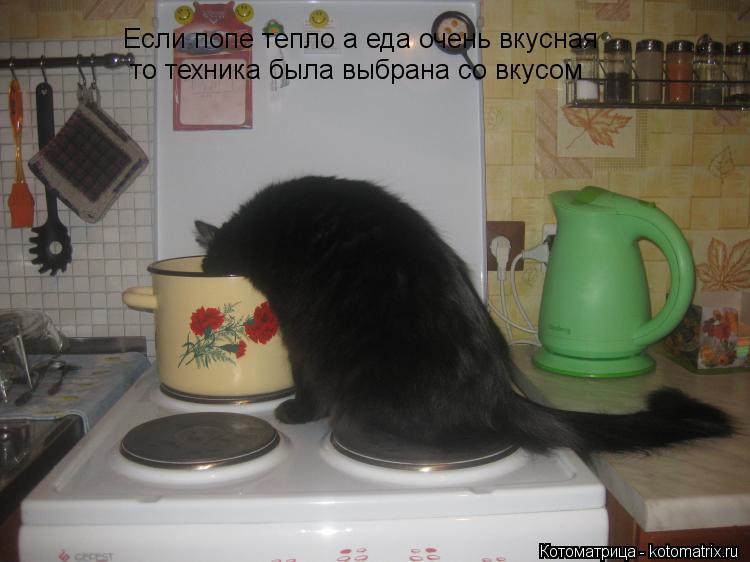 Котоматрица: Если попе тепло а еда очень вкусная  то техника была выбрана со вкусом