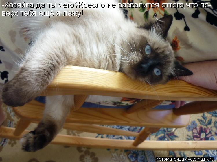 Котоматрица: -Хозяйка,да ты чего?Кресло не развалится оттого,что по- верх тебя ещё я лежу!