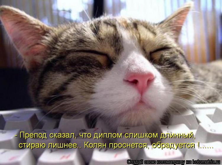 Котоматрица: - Препод сказал, что диплом слишком длинный, стираю лишнее.. Колян проснется, обрадуется !......