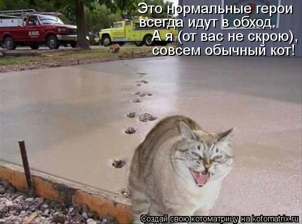 Котоматрица: А я (от вас не скрою),  совсем обычный кот! Это нормальные герои  всегда идут в обход.